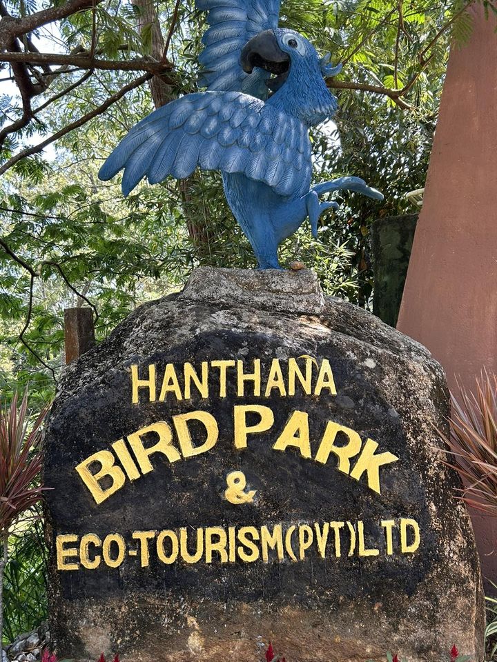 Hanthana Bird Park