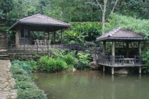 Maskeli Oya Family Park