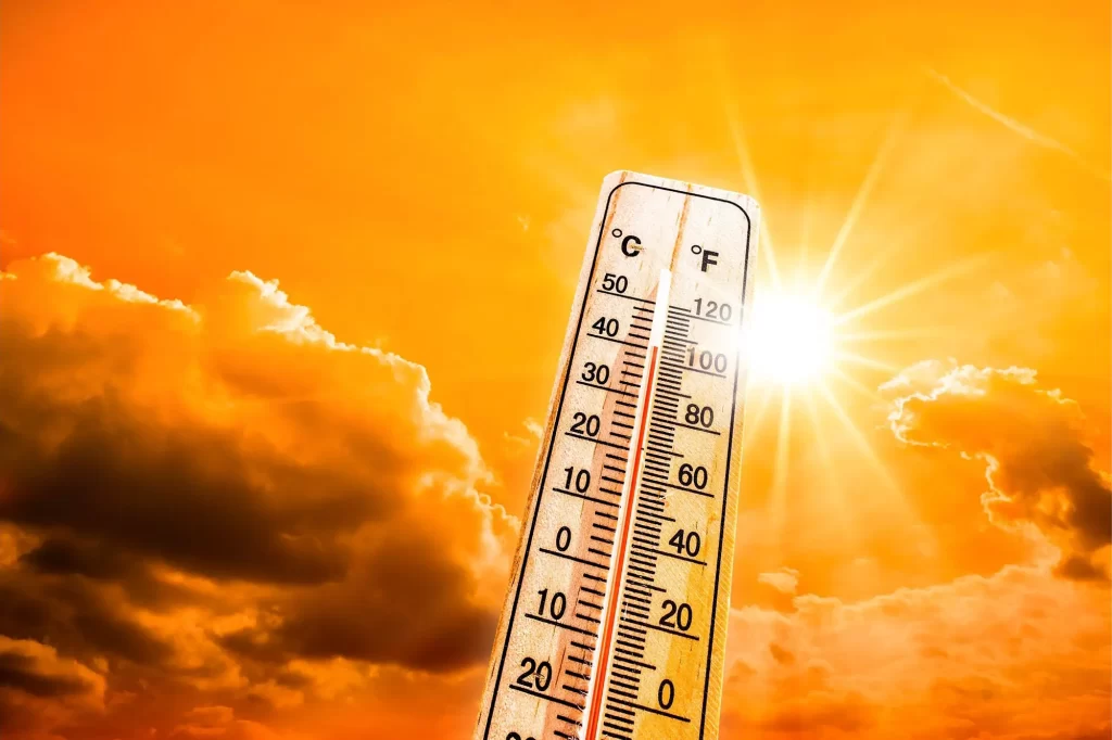 Do’s and Don’ts during a Heatwave